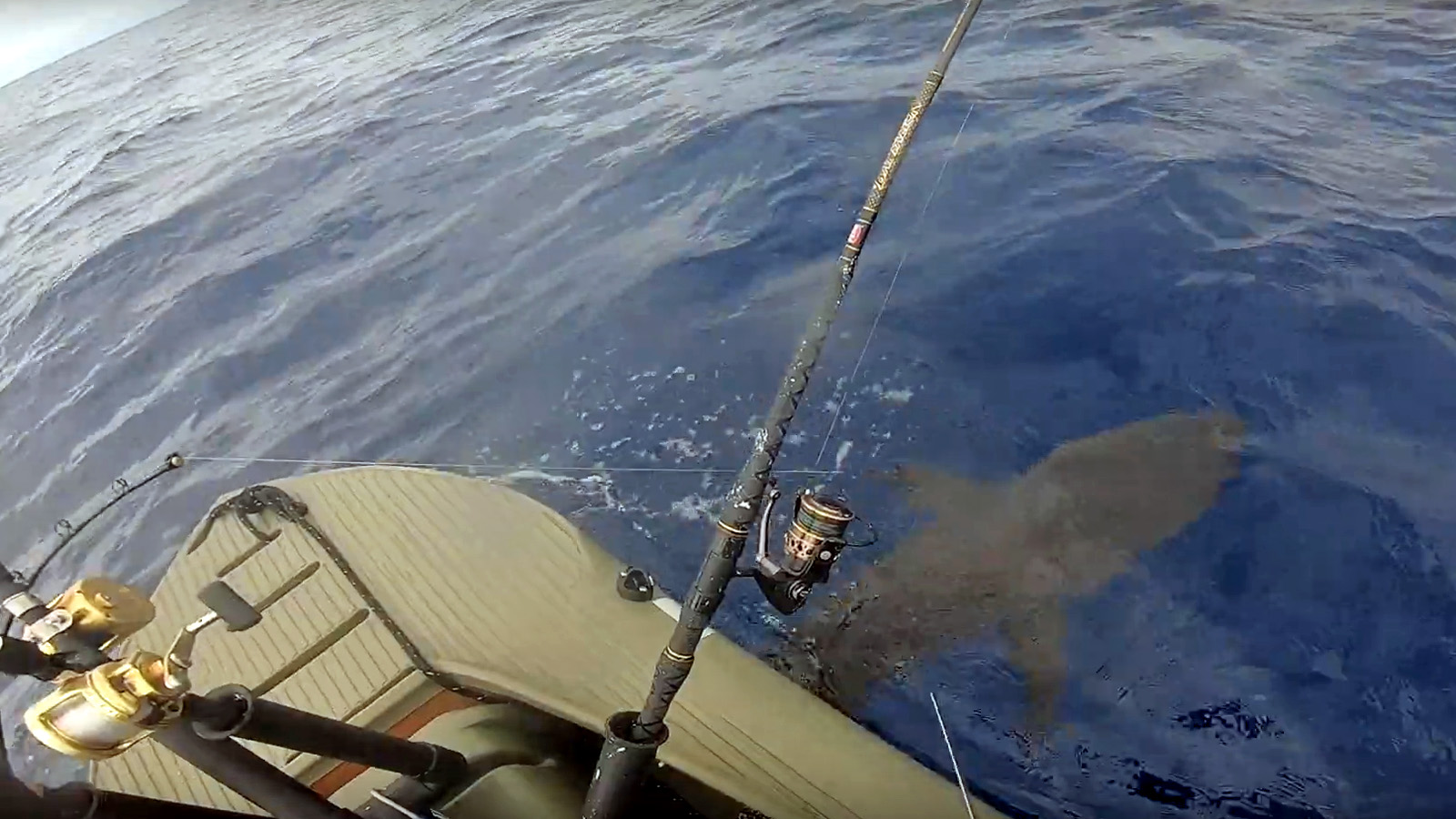 shark fishing offshore - Wavewalk S4 motor kayak skiff